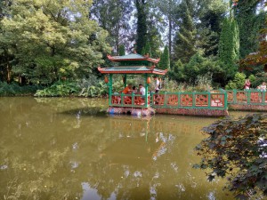 2025-09-09 022 (800x600)